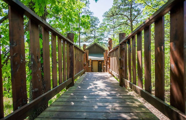 Eureka Springs Treehouses, Hobbit Caves & Castles - Photo 1