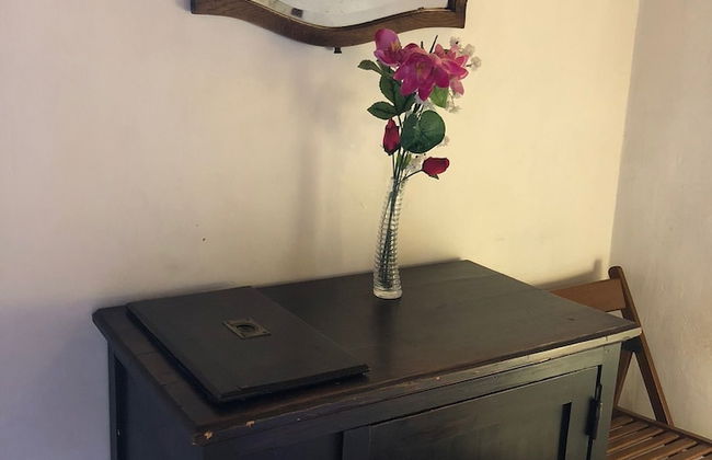 Vellutini Number One - Foto 40