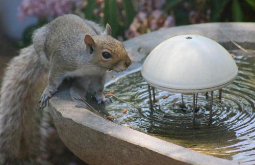 Modern Cottage with Peeks of Ocean Views - Foto 14