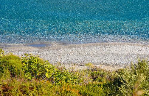 Endless green 1 Arethousa Ikaria - Photo 24