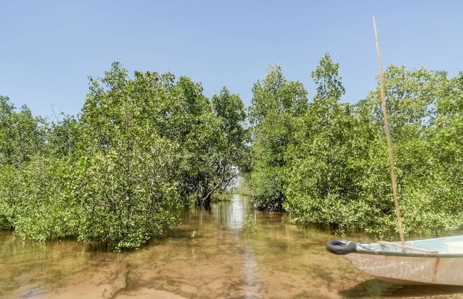 OYO Homes 91148 Homesstay Desa Wisata Bahoi Near Ekowisata Mangrove Desa Bahoi - Photo 28