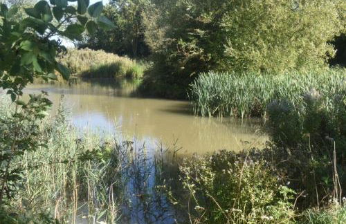 Wren Cottage, Howdales - Foto 32