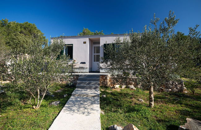 Olive Eden - Foto 56