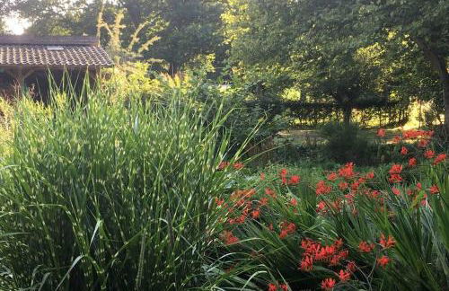 Gemütliches Nest für zwei Personen zum Ausspannen - Foto 26