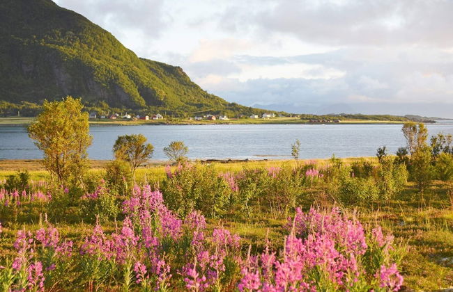 6 Person Holiday Home in Laukvik-by Traum - Foto 24