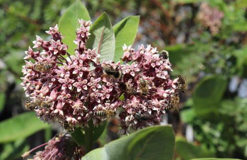 Schneiderhof - Foto 28