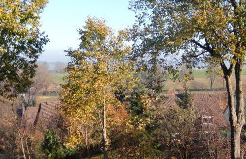 Zum Elleblick - Foto 29