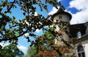 Auszeit im Seenland - Foto 40