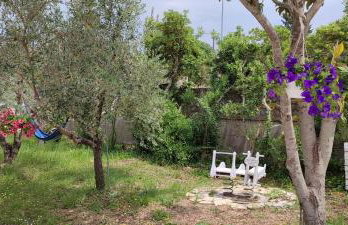 Delux apartments Villa Mihaela - Foto 59