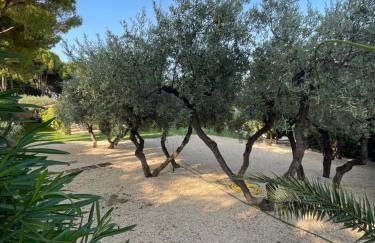 La BouganVillea - Foto 72