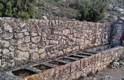 CASA CUEVA EL OLIVO - Foto 15