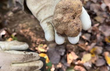 appartement Barbera - Foto 39