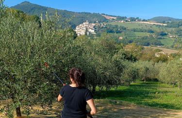 Degli Alessandri house - Foto 54