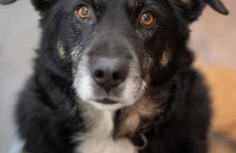 Le Clos de Narco - Photo 12