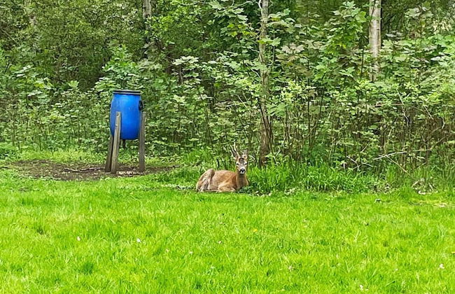 14 Person Holiday Home in Stroby - Foto 32