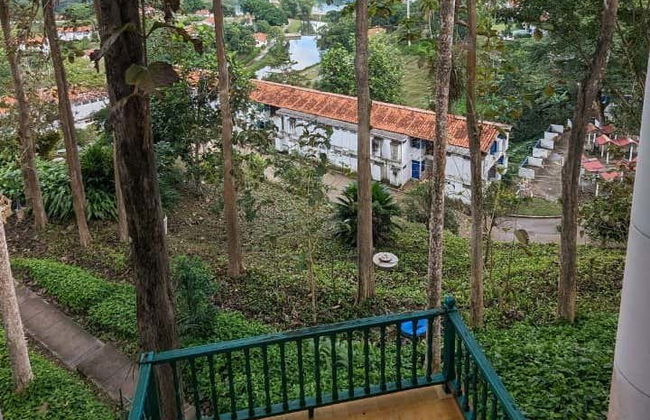 Day Trip to Viñales Valley & Las Terrazas - Photo 2