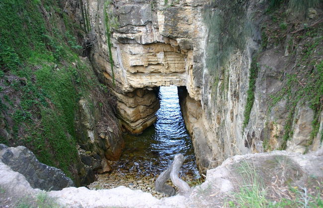 Cedar Cottages Blackmans Bay - Foto 80