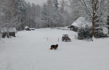 Apartament Buczyna - Foto 15