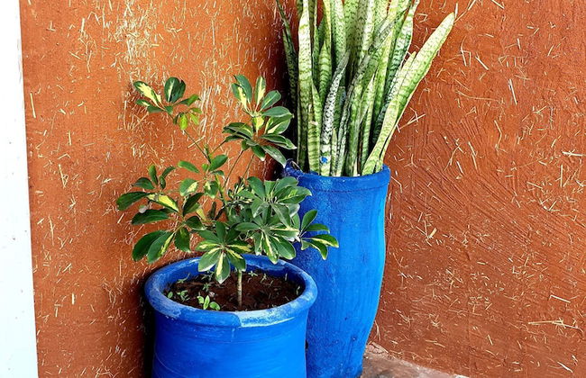 12 Km Surf house - Photo 15