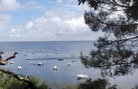 Villa ctl - carcans, médoc - Photo 8