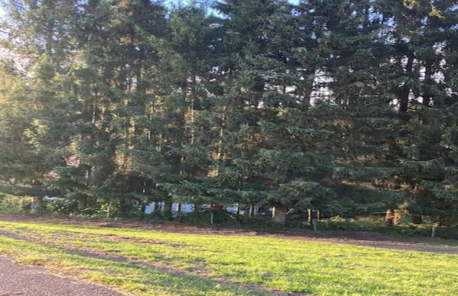 Elegante Ferienwohnung im Schwarzwald, Gorwihl - Foto 29