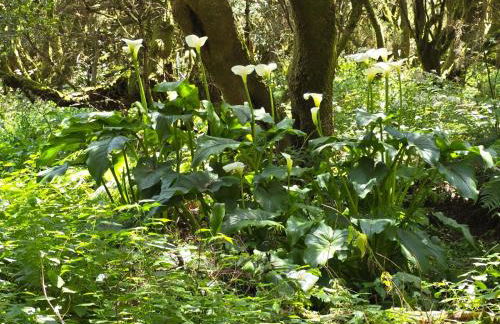 FINCA LA JORADITA - Foto 21