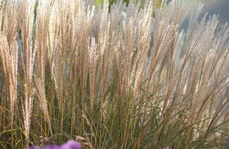 Kircherhof - Foto 24