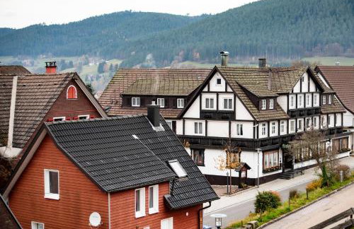 HAUS IRENE gemütlich moderner Schwarzwald - Photo 33