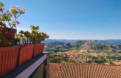 Casa dos Sequeiras - Foto 6