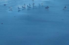 NICE PLACE Studio1 of 2 - Foto 39