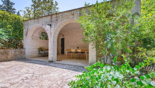 Selva Panorama - Foto 3