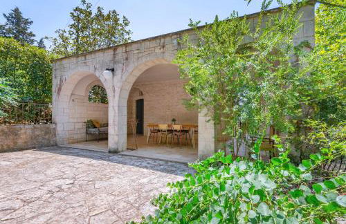 Selva Panorama - Foto 3