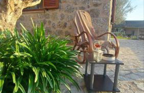 homonatura petrinum - Foto 22