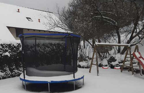 Mayntz' Albjuwel - Foto 14