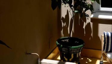 Azul & Limón | Apartamento Estándar - Foto 3