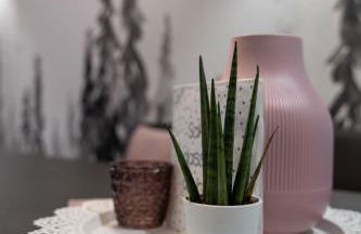 Casa D‘Antino - Foto 10