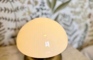 La Maison d'Eugène, Rennes centre - Photo 29