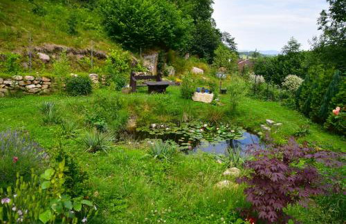 Wilcza Gajowka - Foto 12