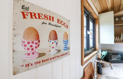 Woodpecker - Foto 12