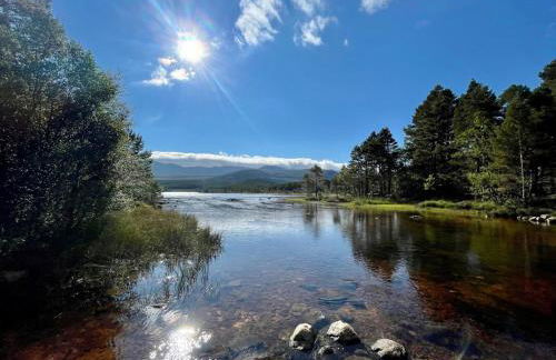 Osprey Apartment - Foto 42