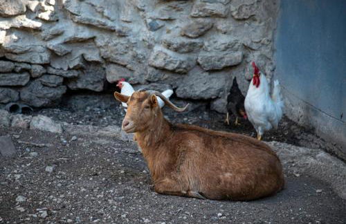 El Sosiego - Foto 25