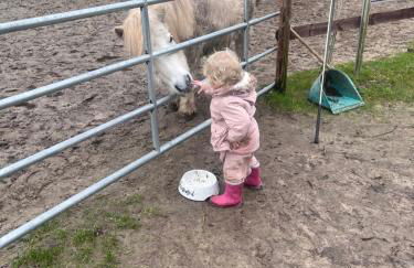 Erlebnisbauernhof Schwanewede - Foto 19