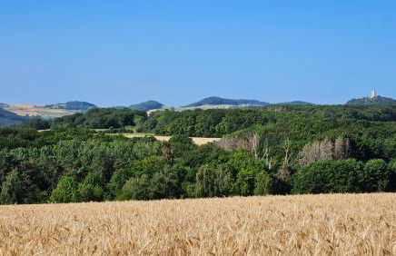 Ferienwohnung Rodder Maar - Foto 11