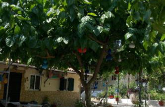 Soldatos Rooms - Foto 54