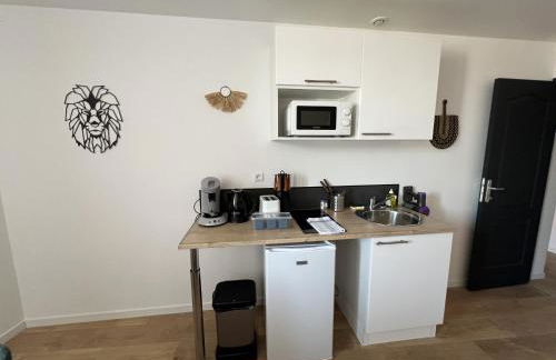 Oasis Africaine - Foto 9