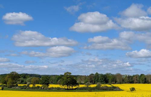 Oberdeck Ostsee - Foto 19