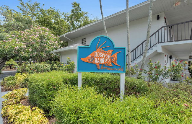 Park Shore Resort - Foto 53