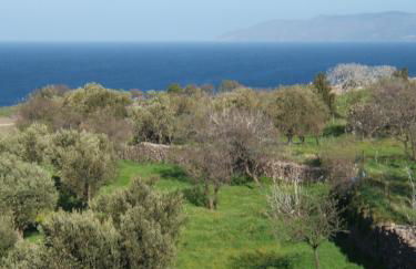 Eleana Residence - Foto 23