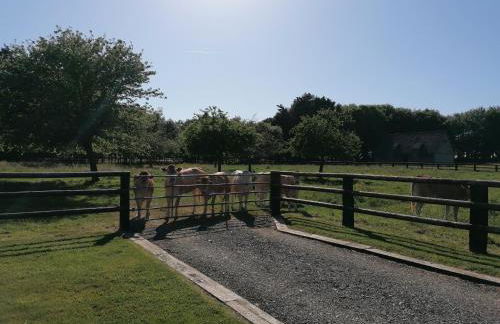 DOMAINE DE JANVILLE - Foto 6