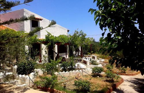 Sunrise Apartments - Photo 41